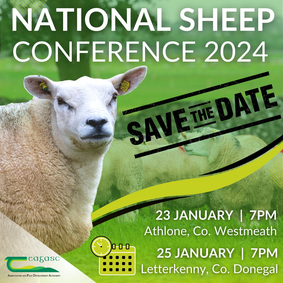 TeagascSheep (@teagascsheep) on Twitter photo 