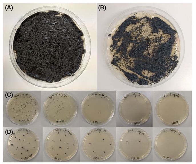 New in the <a href="/BioFunLab/">BioFunLab</a> <a href="/CSIC/">CSIC</a> <a href="/IRNAS_CSIC/">IRNAS Sevilla</a> Unidad Asociada BioFun <a href="/pablodeolavide/">Pablo de Olavide</a> 

Geography and environmental pressure are predictive of class-specific radioresistance in black fungi

ami-journals.onlinelibrary.wiley.com/doi/10.1111/14…

Led by LorenzoAureli <a href="/ClaudiaColeine/">Claudia Coleine</a> <a href="/MSCActions/">Marie Skłodowska-Curie Actions</a>  <a href="/LauraSelbmann/">Laura Selbmann</a>