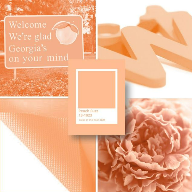 Curious about the world of color and what’s trending for 2024? Unpack the magic of Peach Fuzz in our latest blog, Pantone’s perfect blend of orange and pink, radiating warmth and modern elegance. Embrace the color trends shaping from fashion to signage.