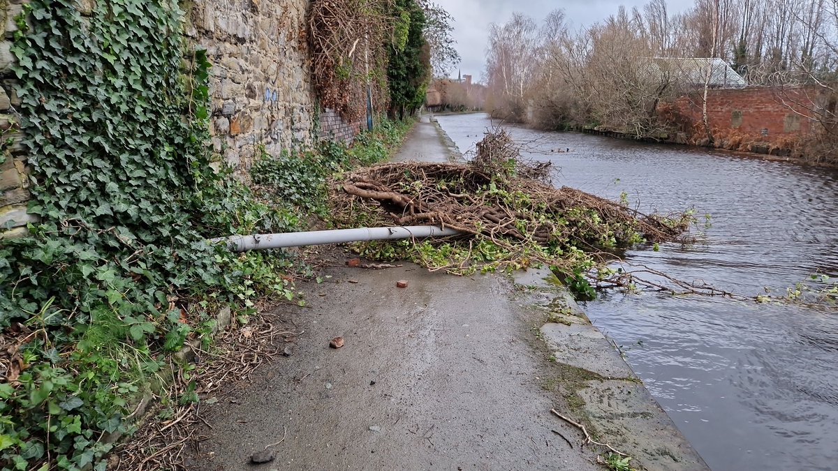 Towpath Blockage at Bacon Lane. Local @CanalRiverTrust Volunteer Manager en route to inspect. @CRTYorkshireNE @theblueloop #StormPia #sheffieldissuper