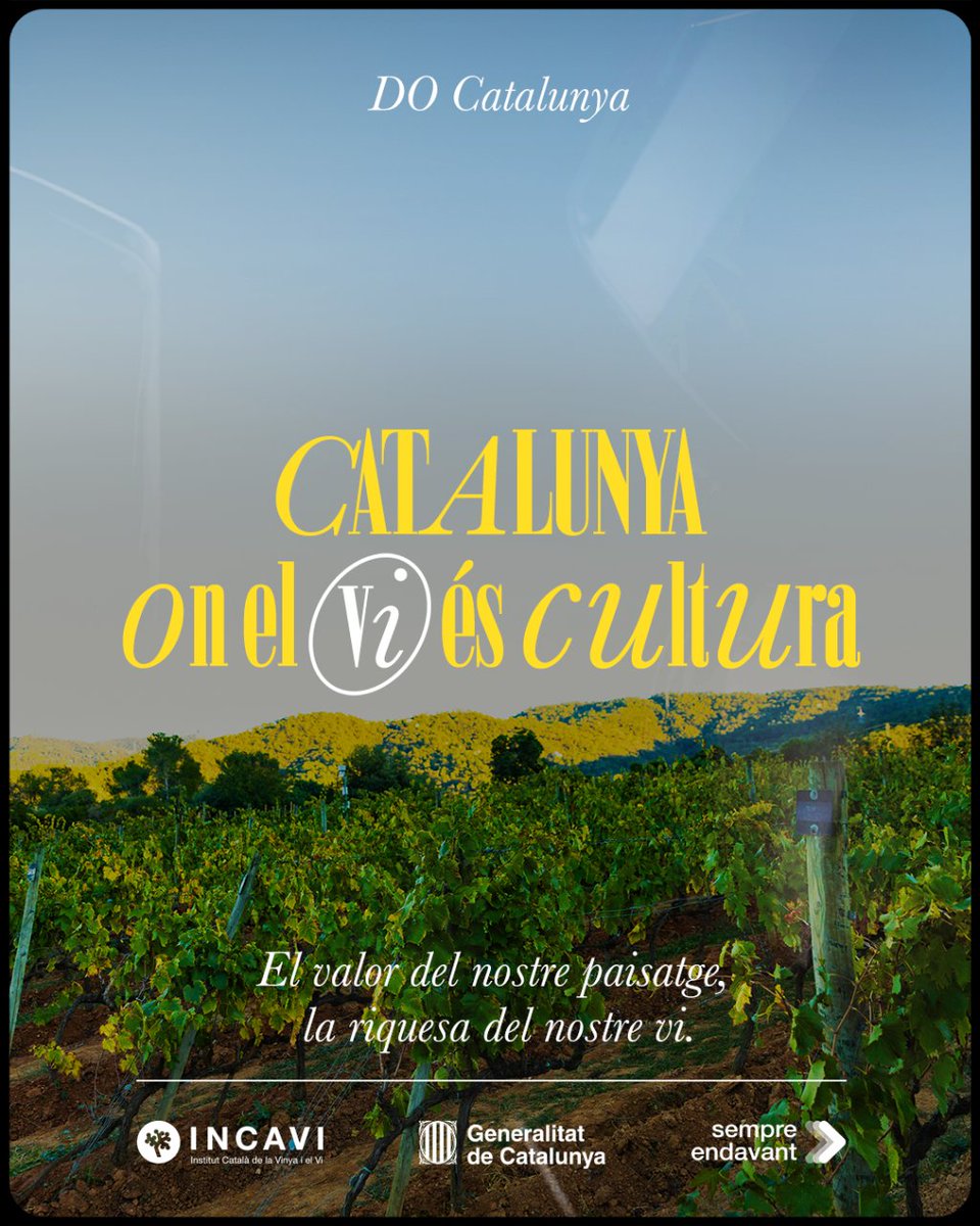 La @DOCatalunya representa més del 50% del vi català amb Denominació d’Origen, i és la DO més gran en hectàrees, amb prop de 40.000.  Gràcies a la seva extensió, hi trobem més de 35 varietats de raïm. #Vicatalà #HoritzóIncavi2025 #Jotriovicatalà #DOCatalunya #Incavi