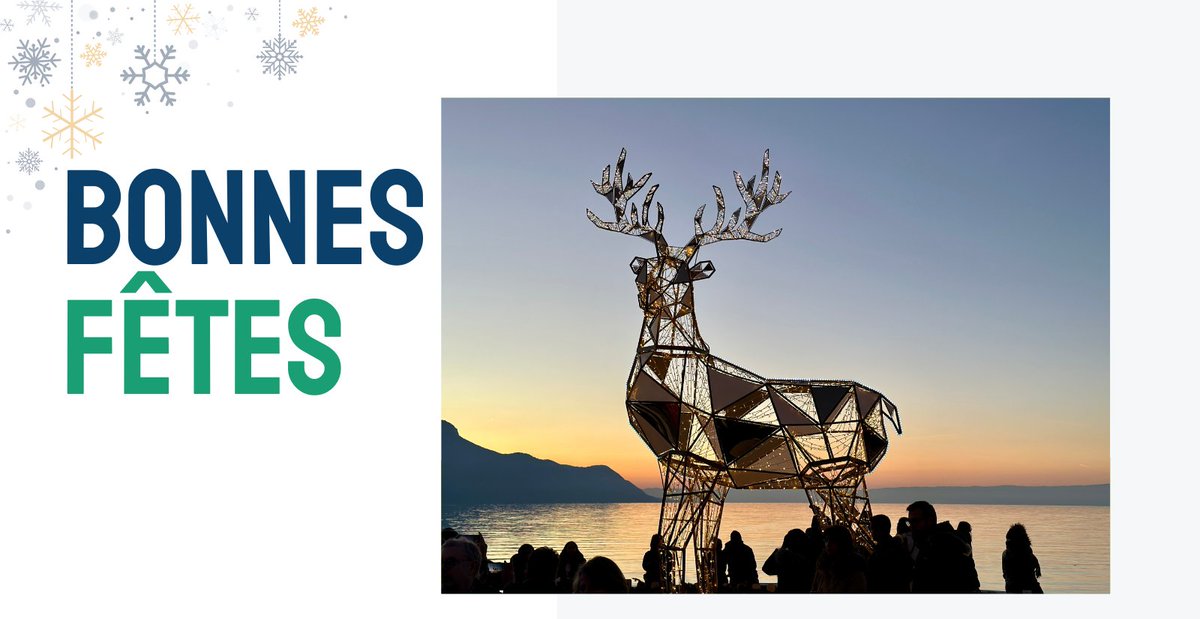 ✨ Toute l'équipe de Vaud Promotion vous souhaite de lumineuses et heureuses fêtes de fin d'année ➡️ vaud.ch/actualites/bel… #myvaud #vaud #bonneannée #vaudoise #vaudois #voeux2024