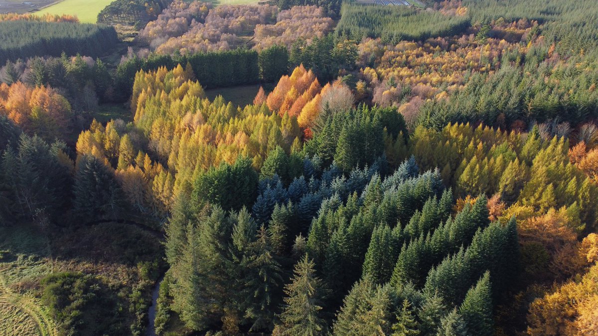 Richard Whittet (@treevolecol) on Twitter photo Interested in wrangling a century's worth of data from forestry experiments? See below opportunity to join <a href="/Forest_Research/">Forest Research</a>
Experiment Data Manager: civilservicejobs.service.gov.uk/csr/jobs.cgi?j… Interested in wrangling a century's worth of data from forestry experiments? See below opportunity to join <a href="/Forest_Research/">Forest Research</a>
Experiment Data Manager: civilservicejobs.service.gov.uk/csr/jobs.cgi?j…