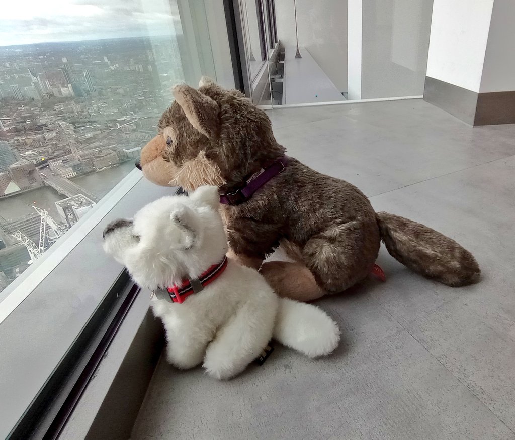 Ghost 👻 and Nymeria @horizon22B @22Bishopsgate