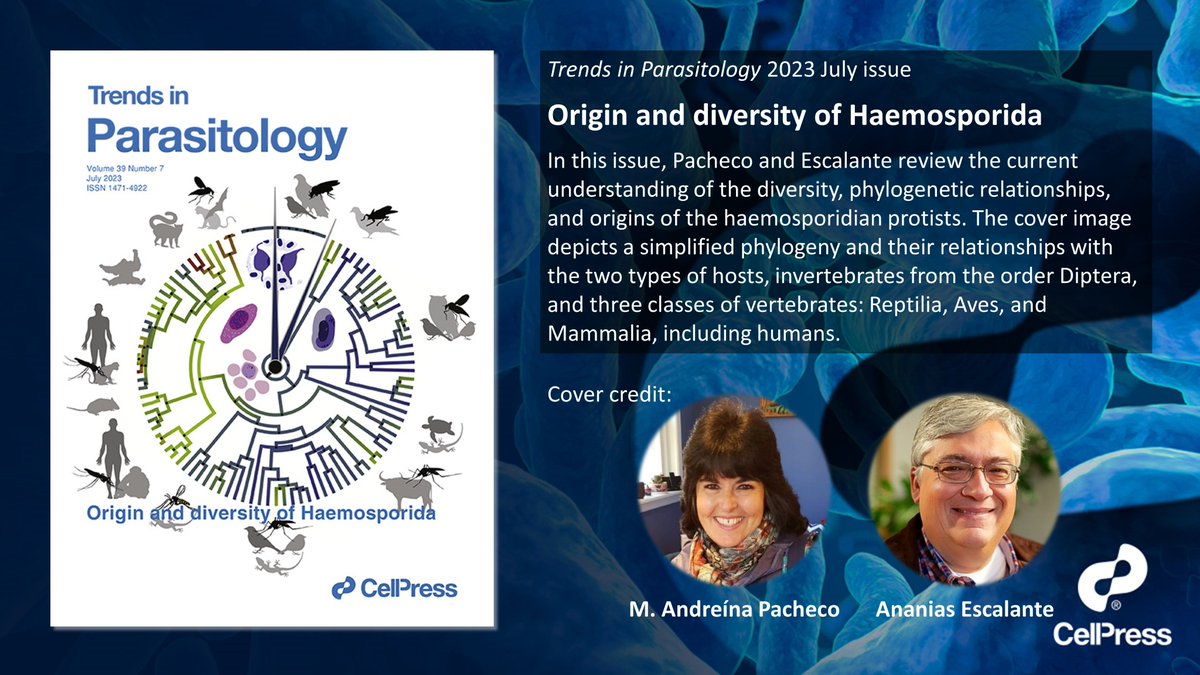 Trends in Parasitology (@trendsparasitol) on Twitter photo Featured on our 2023 July issue cover: Origin and diversity of #Haemosporida, authored by <a href="/Mandeina16/">M Andreina Pacheco</a> and Ananias Escalante. <a href="/TempleUniv/">Temple University</a>
cell.com/trends/parasit… Featured on our 2023 July issue cover: Origin and diversity of #Haemosporida, authored by <a href="/Mandeina16/">M Andreina Pacheco</a> and Ananias Escalante. <a href="/TempleUniv/">Temple University</a>
cell.com/trends/parasit…
