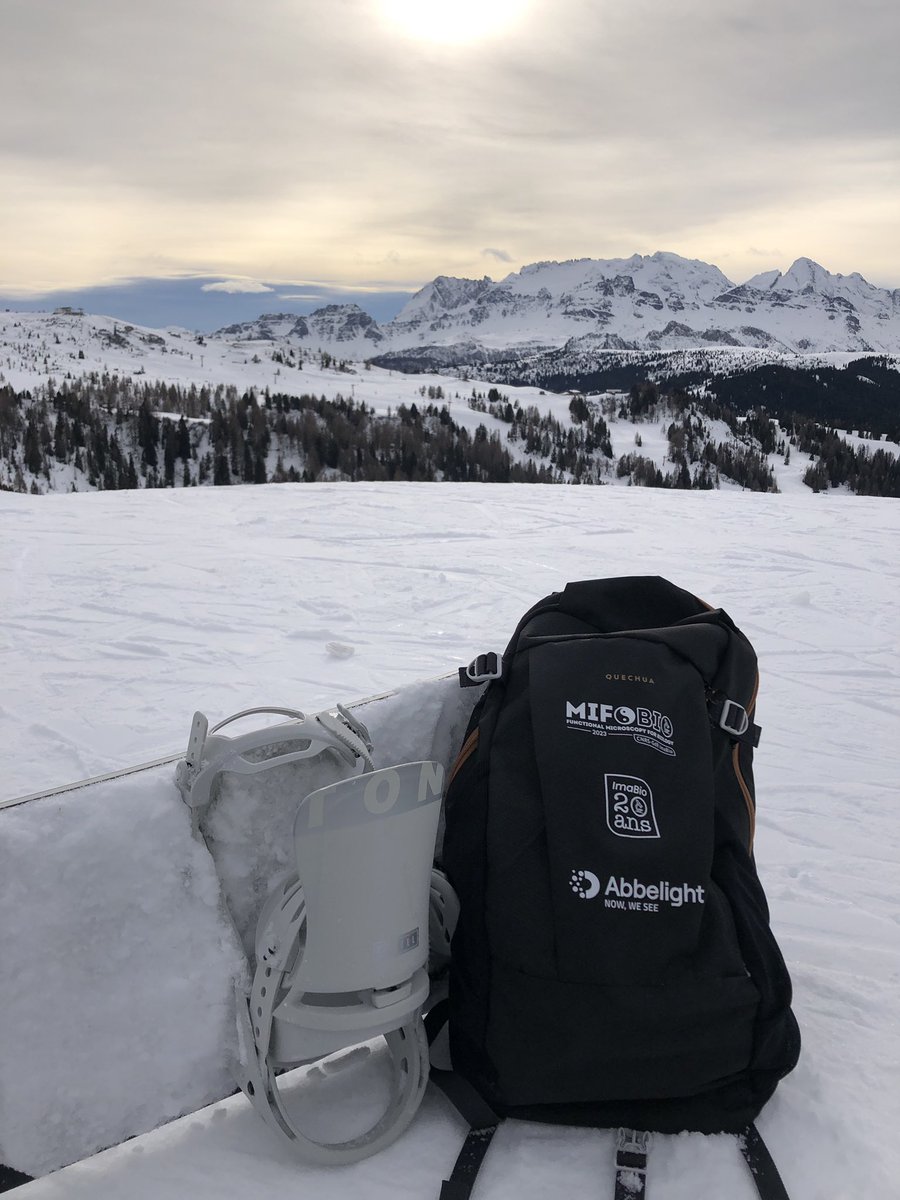 Greetings from the mountains :) <a href="/GDR_ImaBio/">GDR ImaBio</a>