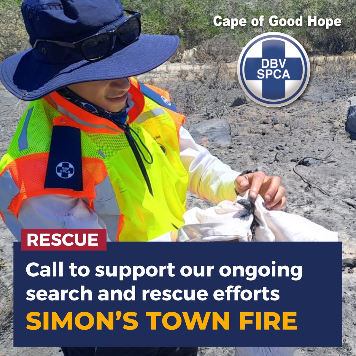 capespca's tweet image. 📢 Stay tuned for updates on the latest rescues!  🐍🐸🦎👇
pulse.ly/x5em1ax9wr

Any donations towards our search and rescue efforts will be greatly appreciated. 💙

#WildlifeRescue #DonateForWildlife #EmergencyRescue #AnimalRescue #CapeSPCA #SimonstownFire #SimonsTown 🐾✨