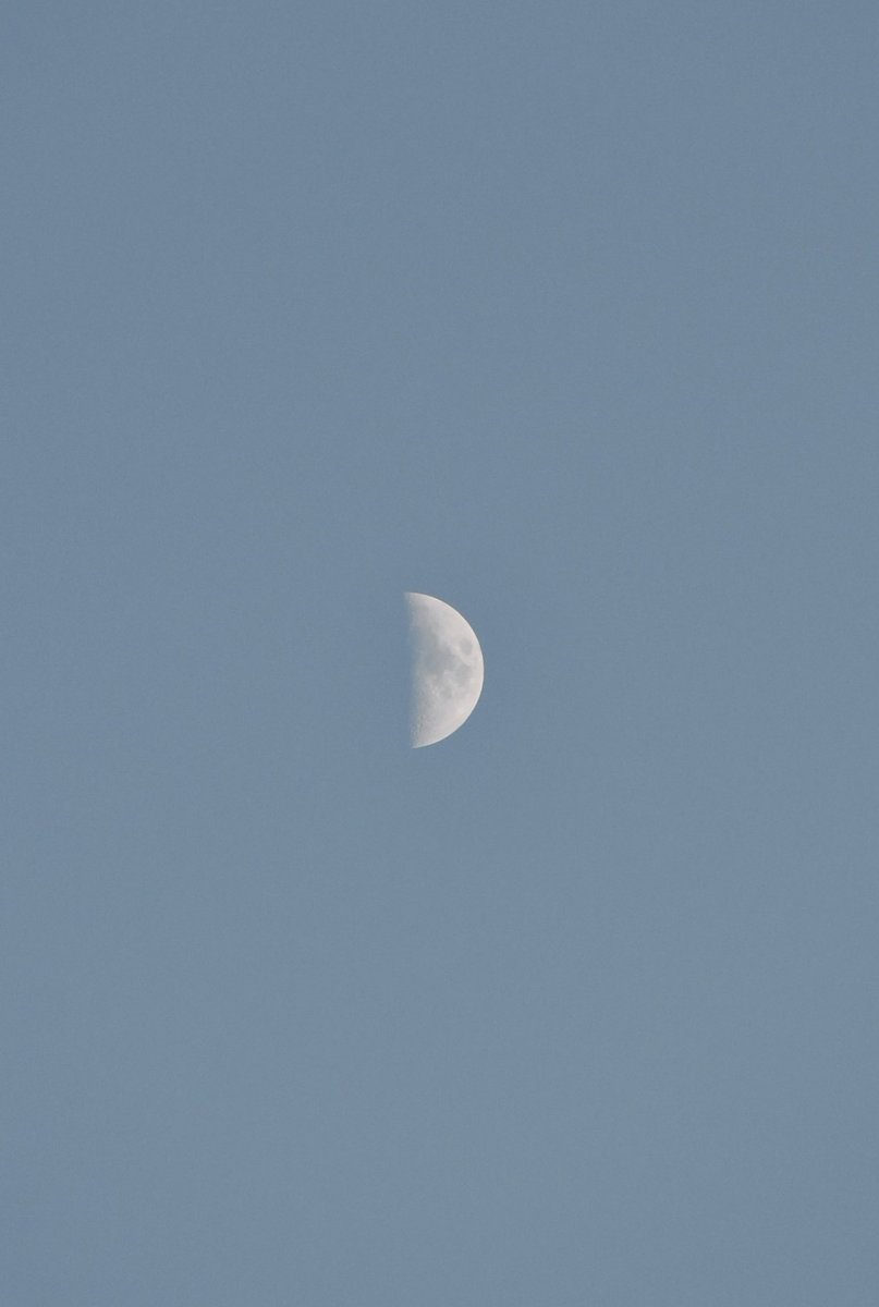 mosquesty tweet media