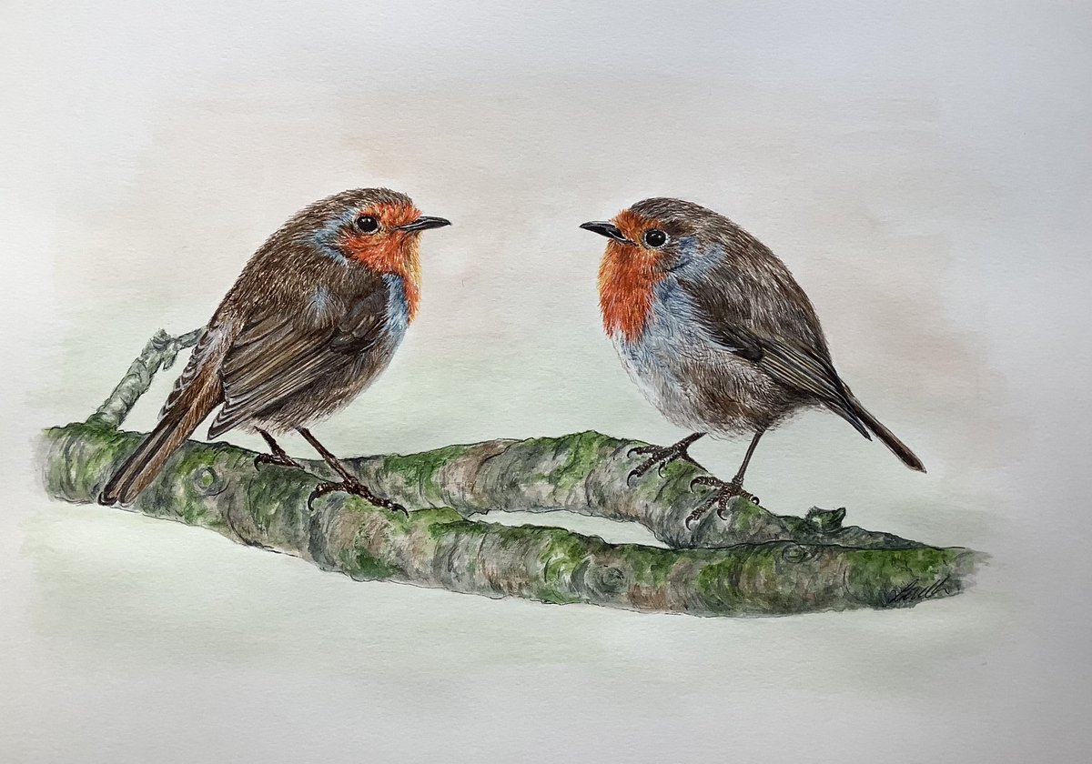 As it’s #NationalRobinDay here are two I painted