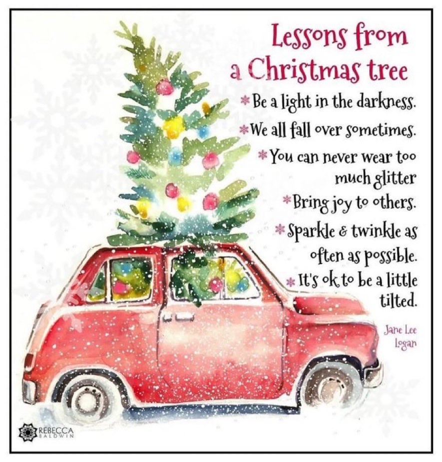principaldupree's tweet image. Lessons from a Christmas tree!