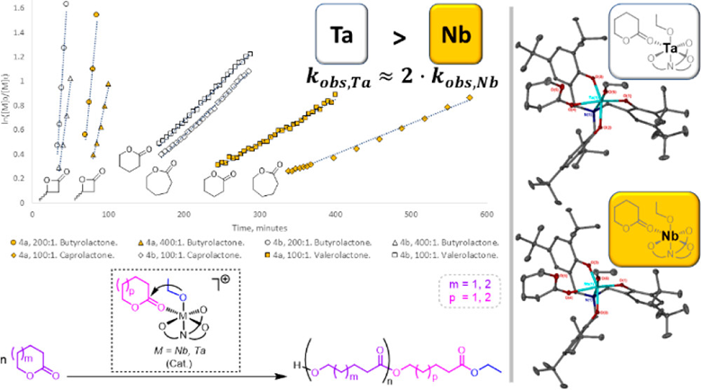 Cationic lactone adducts of Nb &amp; Ta alkoxides exhibit an unexpected ‘tantalum effect’ and permit single unit monomer insertion for chain end modification and kinetic dispersity control in the ROP of lactones. Learn more from <a href="/antoinebuchard/">Antoine Buchard</a> and colleagues pubs.acs.org/doi/10.1021/ac…