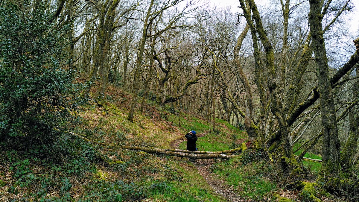 Radnorshire Wildlife Trust (@rwtwales) on Twitter photo Looking for a new opportunity! Well we have one - We are looking for a Head of Conservation maternity cover for 12-14 months.
This suits someone that's looking to make the next step in their career and is keen to develop. 
For more info visit our website! Closing date 11/01! Looking for a new opportunity! Well we have one - We are looking for a Head of Conservation maternity cover for 12-14 months.
This suits someone that's looking to make the next step in their career and is keen to develop. 
For more info visit our website! Closing date 11/01!