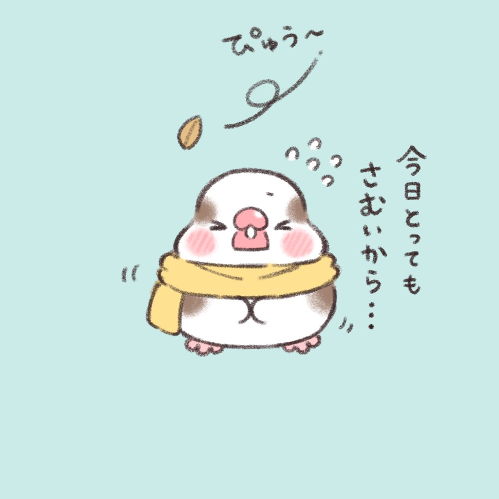 かいぬち。  #ジュウシマツ