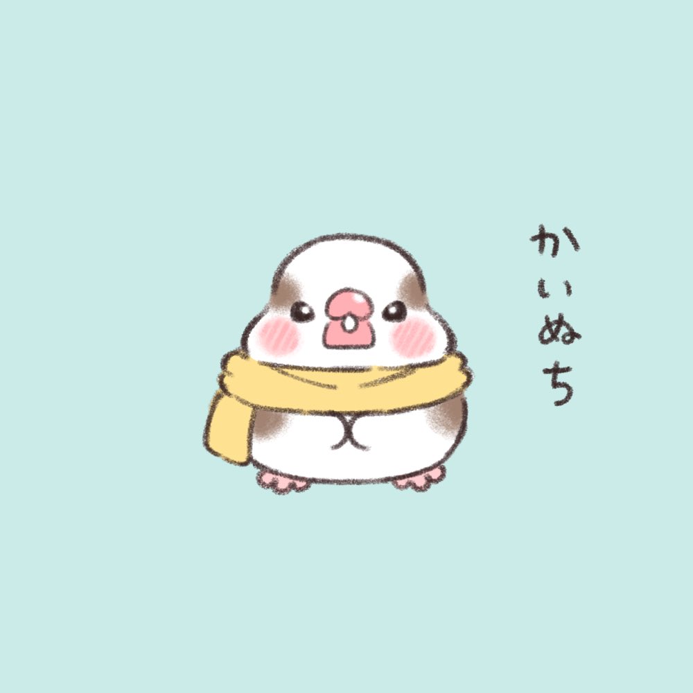 かいぬち。  #ジュウシマツ