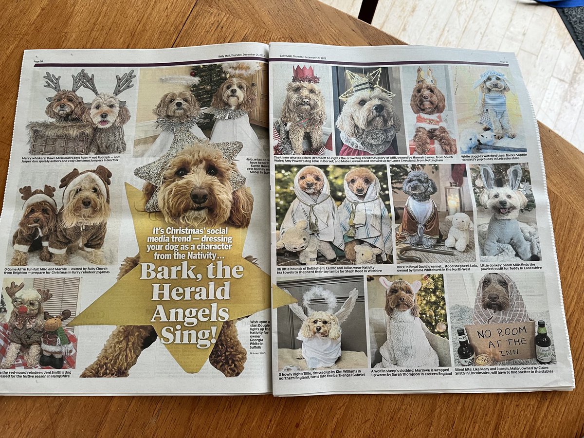 Hannah Willis (@_hannahlw) on Twitter photo Double page spread in the Daily Mail today! Gutted it doesn’t mention its for charity but it’s all in aid of <a href="/ManyTearsRescue/">Many Tears Rescue</a> 🐶 Double page spread in the Daily Mail today! Gutted it doesn’t mention its for charity but it’s all in aid of <a href="/ManyTearsRescue/">Many Tears Rescue</a> 🐶