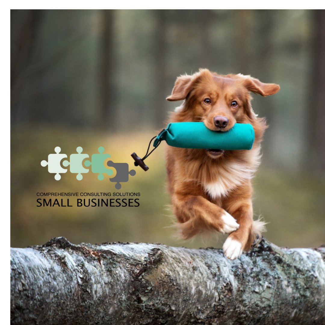 Looking to grow 🌱 your small business?  We can help you fetch 🐕 🦴 some new clientele!
 
#smallbusinessconsulting #smallbusinesscoaching #businessgrowth #marketing  #nwarkansas