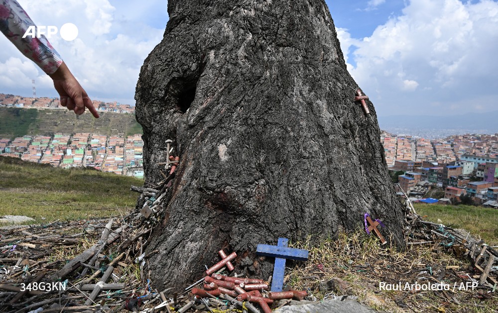 Lina Vanegas Estrada (@linavaes) on Twitter photo Conocido como Palo del Ahorcado, un solitario eucalipto que se alza en el extremo sur de Bogotá está a punto de ser declarado patrimonio cultural de la capital colombiana. #AFP
📃u.afp.com/5Sqm
✍🏽 <a href="/unacuentadenada/">Sebastian Serrano</a>
📷<a href="/RAULARBOLEDA/">Raul Arboleda</a> Conocido como Palo del Ahorcado, un solitario eucalipto que se alza en el extremo sur de Bogotá está a punto de ser declarado patrimonio cultural de la capital colombiana. #AFP
📃u.afp.com/5Sqm
✍🏽 <a href="/unacuentadenada/">Sebastian Serrano</a>
📷<a href="/RAULARBOLEDA/">Raul Arboleda</a>