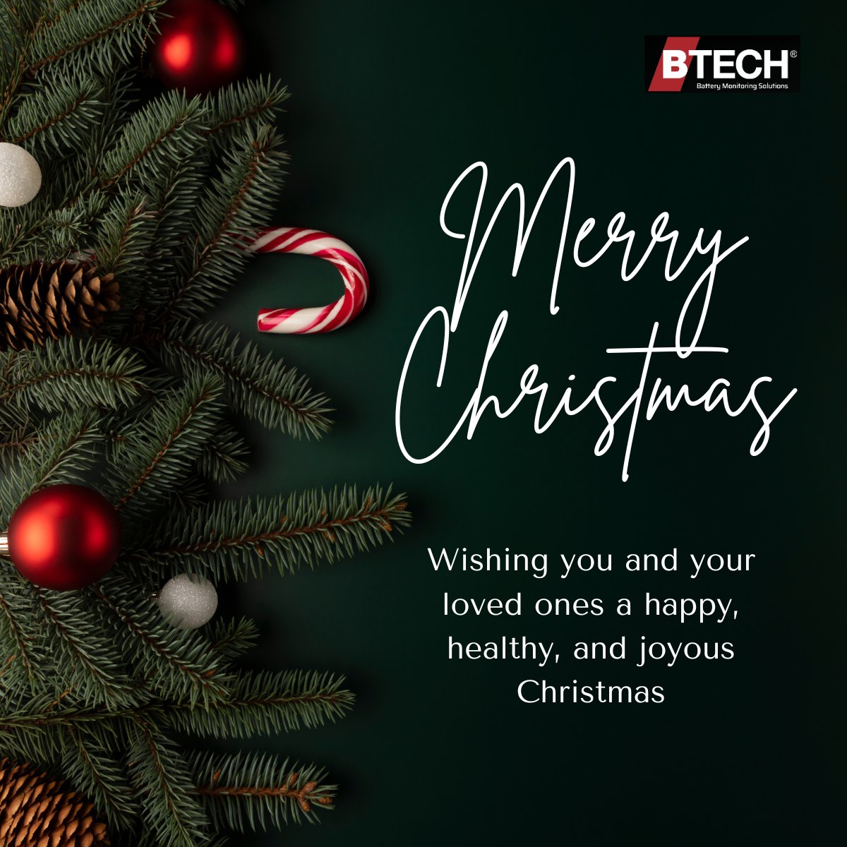 btechinc's tweet photo. Wishing a Merry Christmas to all! - The BTECH Team
#christmas #btech https://t.co/cQuadBcC8I