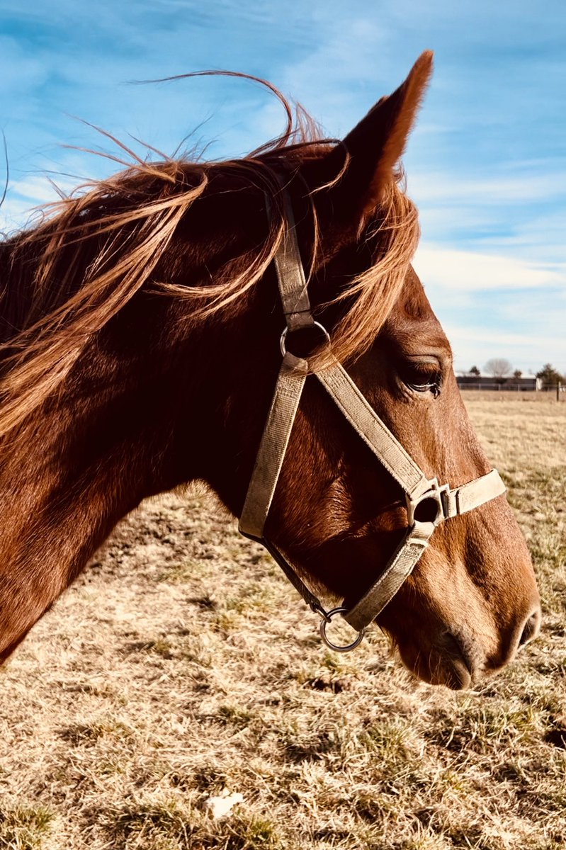 Sugar Pie ❤️