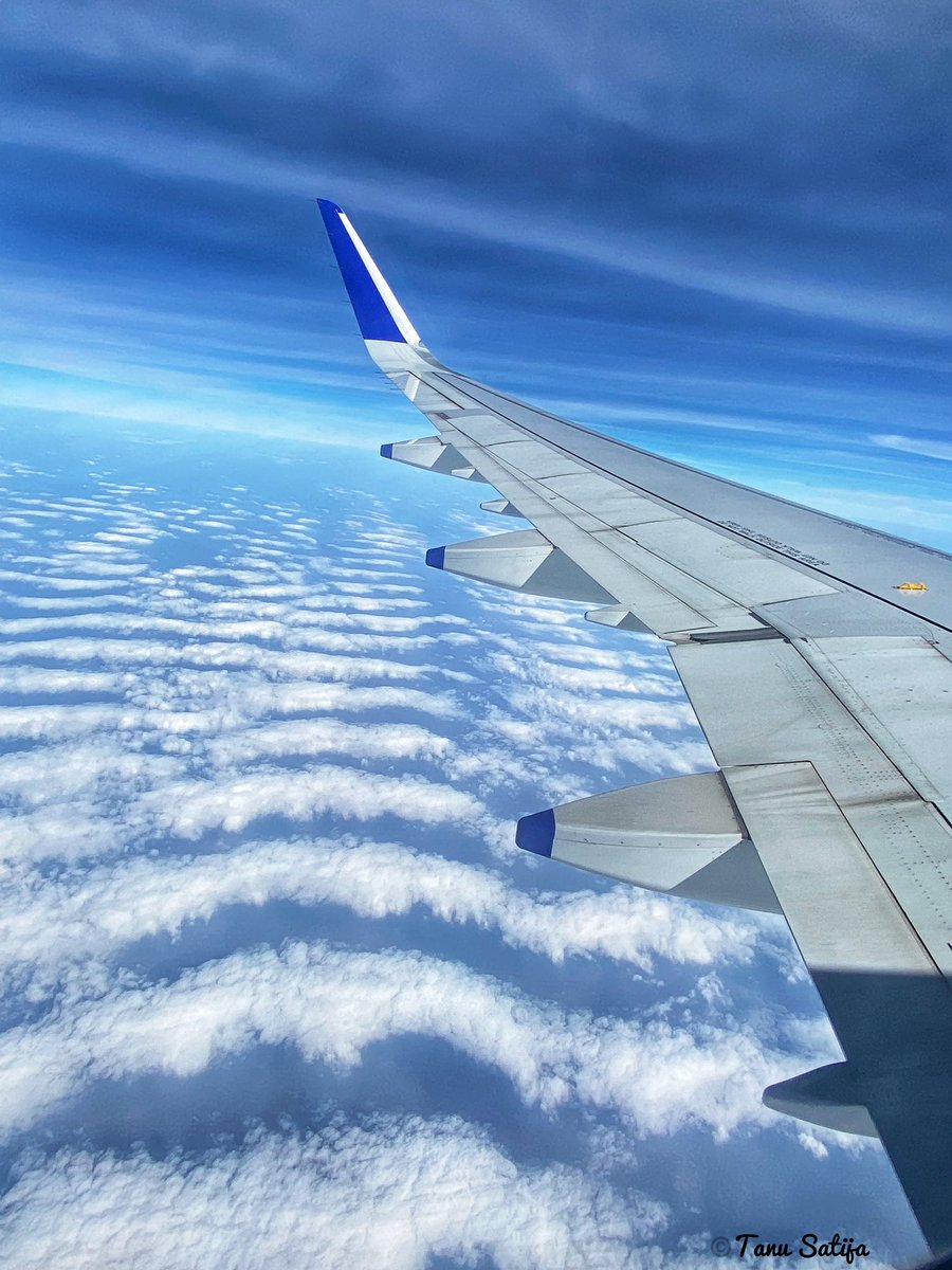 tanu0994's tweet photo. Cotton candies sky !! 
#sky #Cloud #airplane #view #clouds #skyview #photography #aeroplane #viewfrommywindow #windowseat #nature #views #cloudview https://t.co/85UWxSsWrU