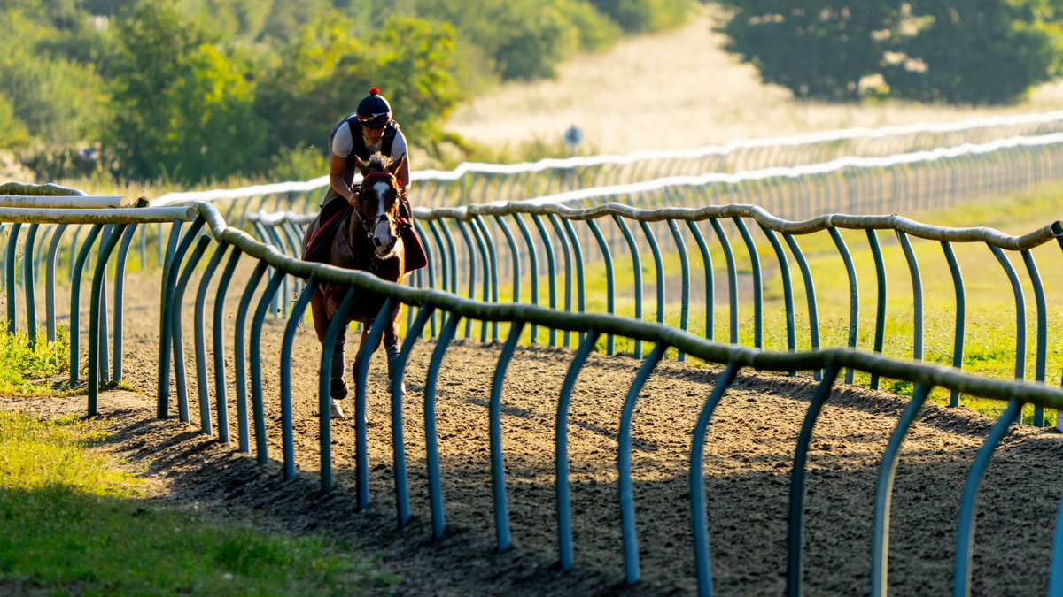 📸 @NewmarketGallop throughout the seasons with the #AHTeam #AliceHaynesRacing