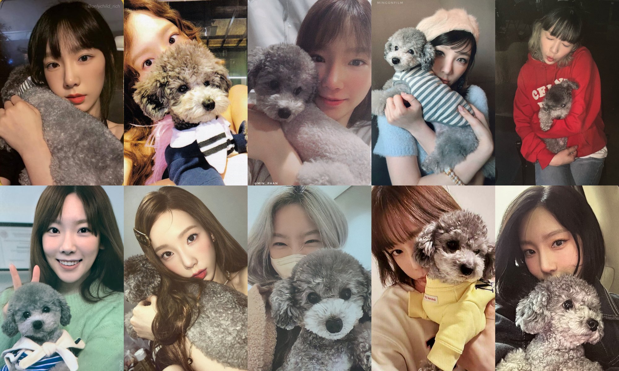 TAEYEON トレカ ‘Sone ᴛᴀᴇʏᴇᴏɴ ꜱᴛᴜꜰꜰ on X: 