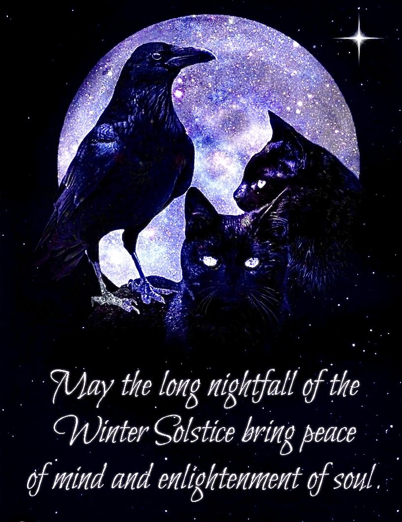 #WinterSolstice #WinterSolsticeBlessings #shortestDay #LongestNight #raven #blackcats #spiritanimals