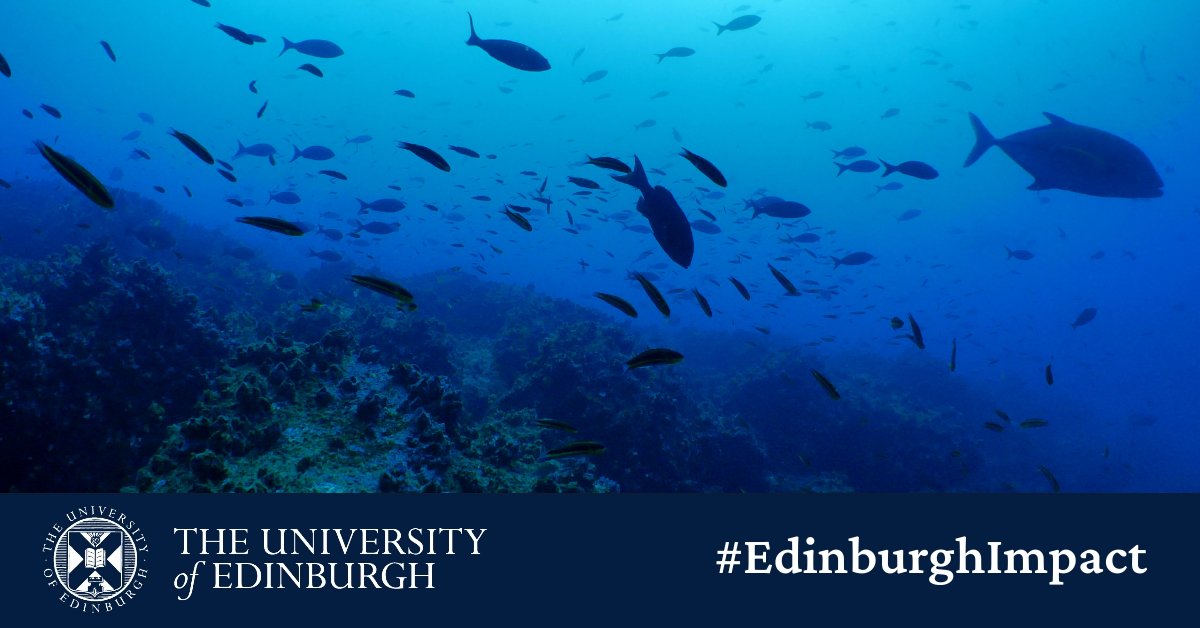 An idea to create a sustainable and environmentally friendly algae 🐟🌊  is now a reality thanks to the support from our @EdinInnovations team, who each year support more than 100 student start-ups to launch. Read the full story ➡️ edin.ac/3RvfZWM
#EdinburghImpact