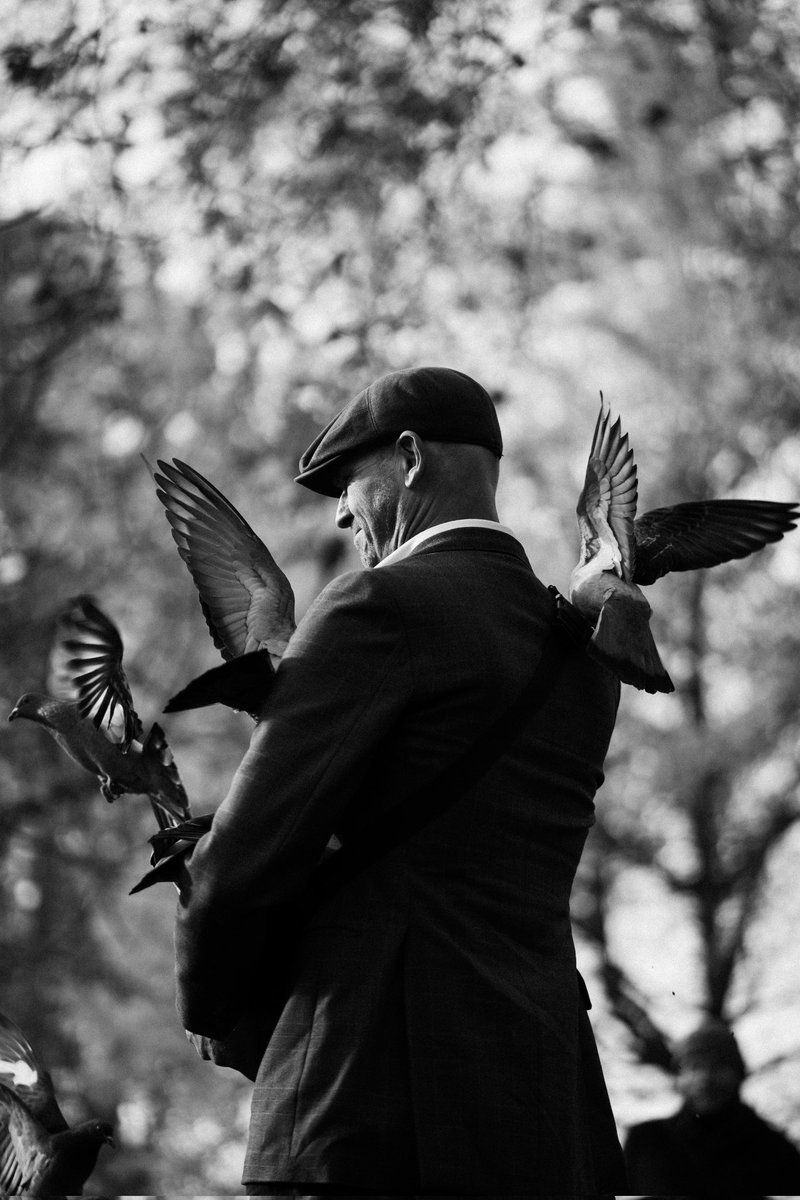 Got a lovely series of images of this guy feeding the pigeons in London recently. Here are a few.

#streetphotography #streetdreamsmag #pigeons #feedingthebirds #london #stjamespark #tweed #flatcap #wings #autumnal #sonya7c #sony85mm18 #lightroommobile