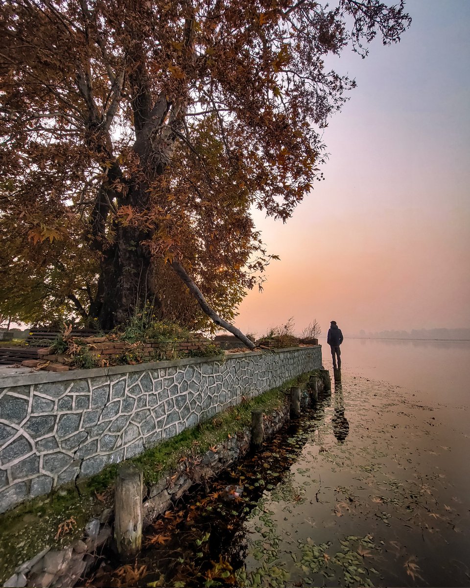 Char Chinar, an island in Dal Lake, Srinagar is marked with the presence of majestic Chinar trees at the four corners, thus known as Char-Chinari. Shot by @faizankhurshids #withgalaxy #faizankhurshids #TLPicks #othallofframe #lonelyplanet #thrillophilia #TLAsia #natgeoindia