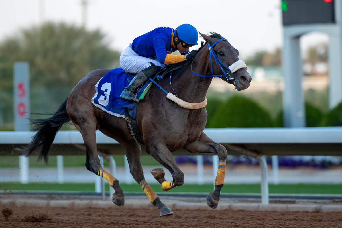 JockeyClub_SA's tweet photo. نتيجة الشوط الـ 4 الحفل ( 79 ) 

▫️الفائز : بولاريس
▫️المالك : مترك بندر محمد بن شفلوت
▫️المدرب : يزيد بن شفلوت 
▫️الخيال : طارق المنصور
▫️المسافة : 1400م
▫️الزمن : 1:26.61

#نادي_سباقات_الخيل 🐎 https://t.co/4bDB8obi0e