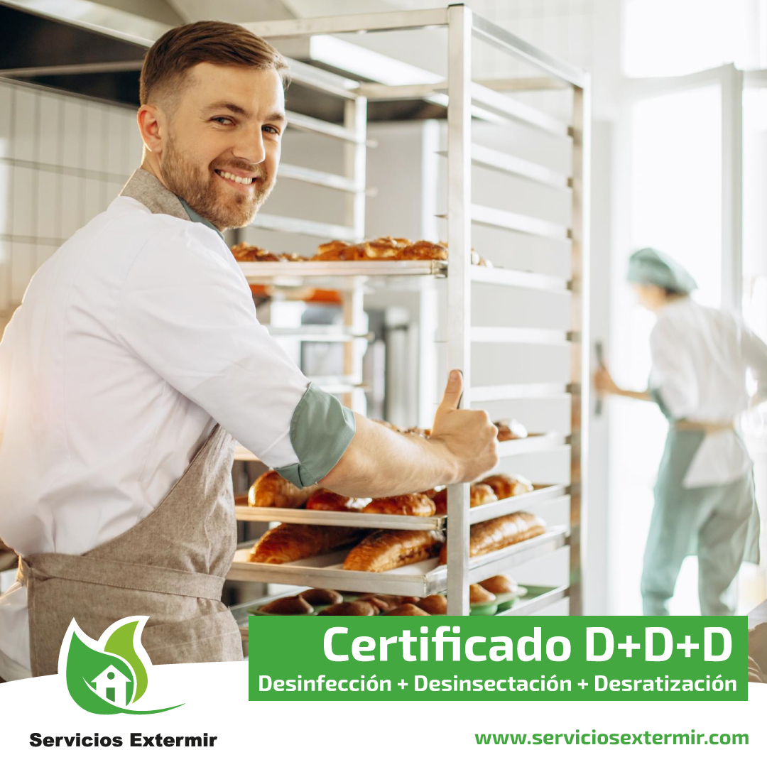 SExtermir's tweet image. Expedimos el Certificado D+D+D 📄 (Desinfección + Desinsectación + Desratización) para tu negocio.

¡Llámanos al 605 577 622 ☎️ y garantiza la salubridad de tu local!
serviciosextermir.com