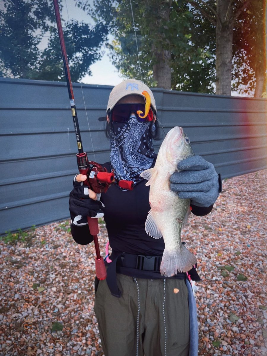 Basupaudel7's tweet image. I actually caught the same fish four times... (One eye is blind and it’s easy to recognize