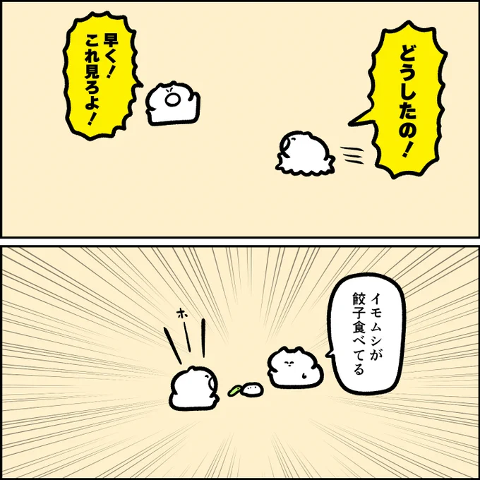 見せたいネコさん