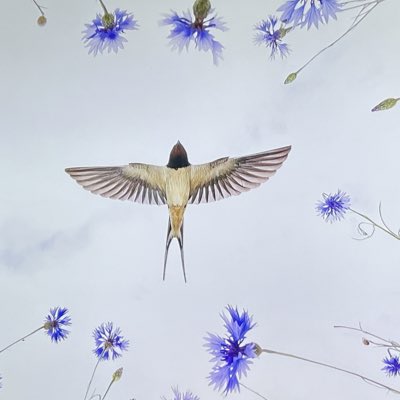 mphartikainen's tweet image. #NewProfilePic