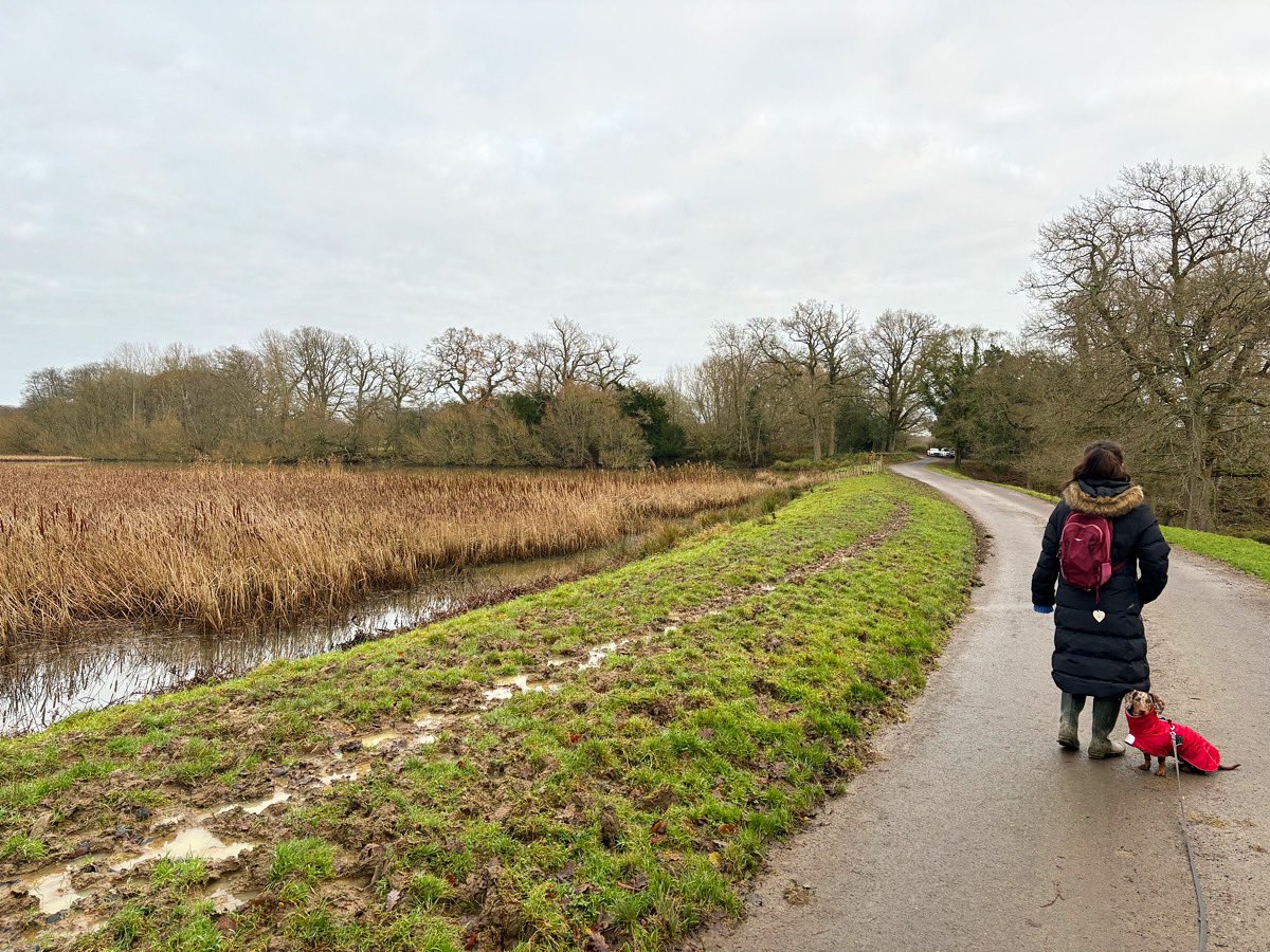 Mud and marsh at Knepp 🐾