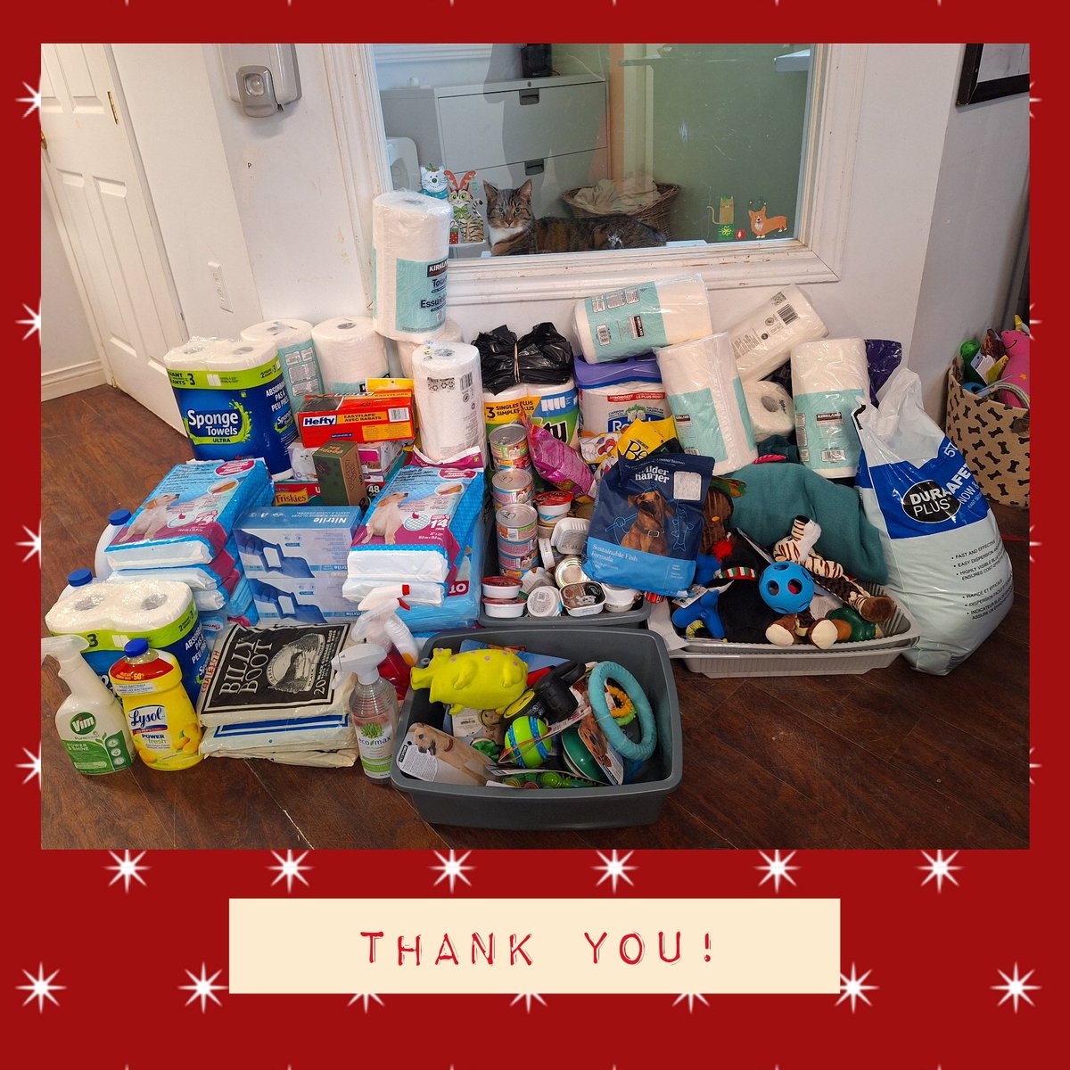 SPCA St.John's (@spcastjohns) on Twitter photo Ember and all of the other animals here at the shelter want to send a HUGEEEE thank you to the Grade 4's at Octagon Pond Elementary School for their amazing donations to our shelter. 😻🎄
<a href="/OctagonPond/">Octagon Pond Elem.</a> Ember and all of the other animals here at the shelter want to send a HUGEEEE thank you to the Grade 4's at Octagon Pond Elementary School for their amazing donations to our shelter. 😻🎄
<a href="/OctagonPond/">Octagon Pond Elem.</a>