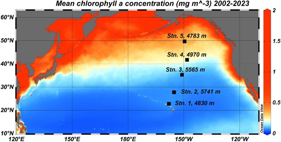 New GEOTRACES Science Highlight! Are the pelagic clay-rich sediments a major source of elements to bottom-waters? geotraces.org/are-the-pelagi… Paper first author: Zvi Steiner @WCBGC_Geomar #oceanscience #biogeochemistry #sediments