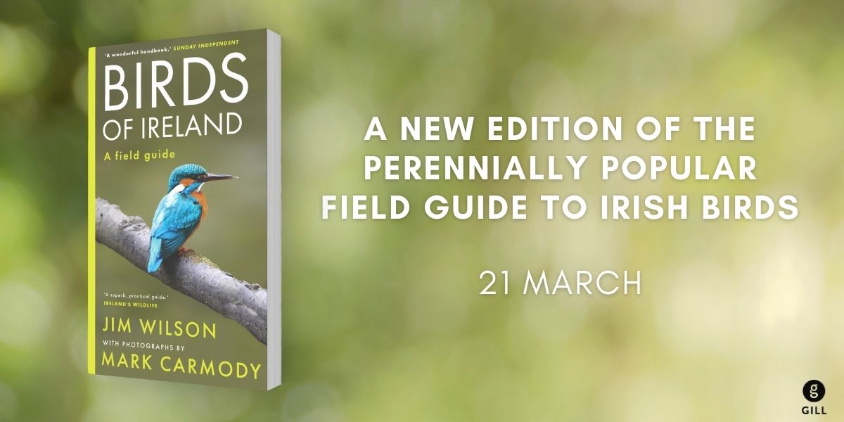 Congratulations to PURDYLUCEY Director @MarkCPhotografy, who has a new book coming out in March 2024, published by Gill Books. Available for pre-order here: linktr.ee/birdsofireland #BirdsOfIreland #IrishWildlife