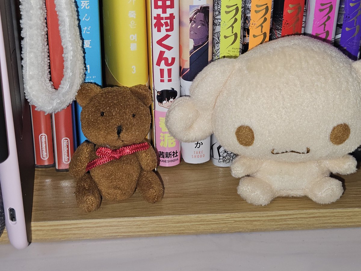 구니 (@gn9292) on Twitter photo 