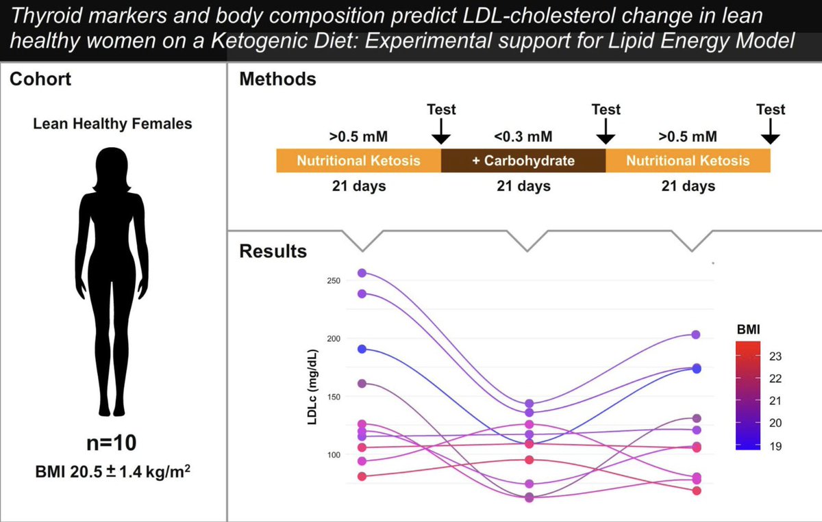Isabella Cooper (@i_mitochondria) on Twitter photo Our new paper just published!
Another piece of the #LEM #LMHR puzzle supporting <a href="/realDaveFeldman/">Dave Feldman</a> <a href="/nicknorwitz/">Nick Norwitz</a> <a href="/AdrianSotoMota/">Adrian Soto-Mota</a> <a href="/davidludwigmd/">Dr. David Ludwig</a> hypothesis on LDLc response.
Thyroid markers and body composition predict LDL-cholesterol change in lean healthy women on a ketogenic Our new paper just published!
Another piece of the #LEM #LMHR puzzle supporting <a href="/realDaveFeldman/">Dave Feldman</a> <a href="/nicknorwitz/">Nick Norwitz</a> <a href="/AdrianSotoMota/">Adrian Soto-Mota</a> <a href="/davidludwigmd/">Dr. David Ludwig</a> hypothesis on LDLc response.
Thyroid markers and body composition predict LDL-cholesterol change in lean healthy women on a ketogenic