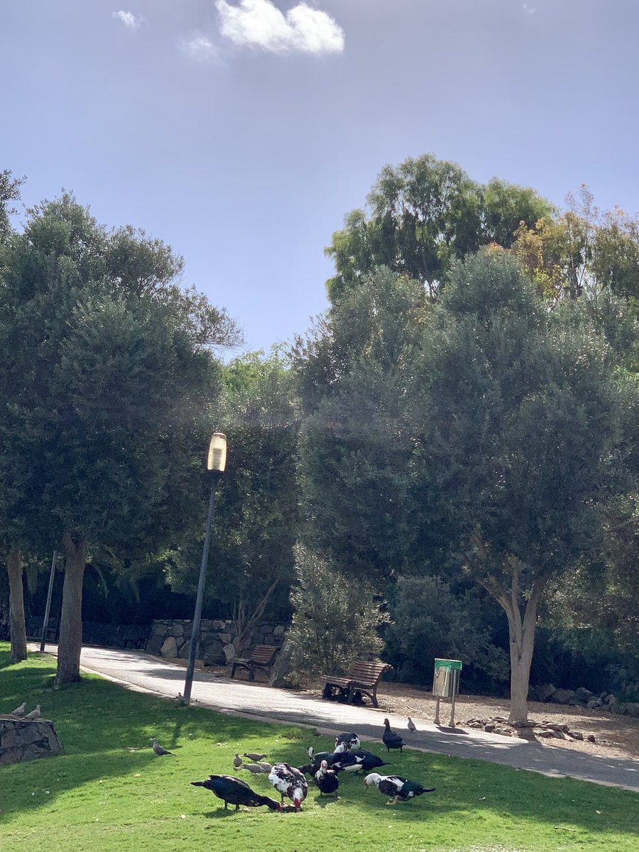 jfguzmanm's tweet photo. De #22Grados #Lluvia #Viento #Nublado a #28Grados #Sol #Calor
Esto es #Maspalomas #CostaCanaria #GranCanaria #InviernoGranCanario https://t.co/QY7ZCkATHo