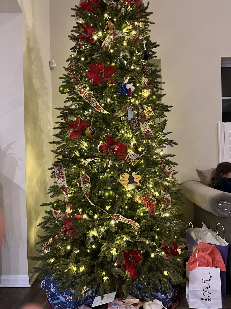 Charleston themed gingerbread house (check), James Island County Park Lights (check), tree up and halfway decorated (check). 😮‍💨😴#ChristmasCountdown