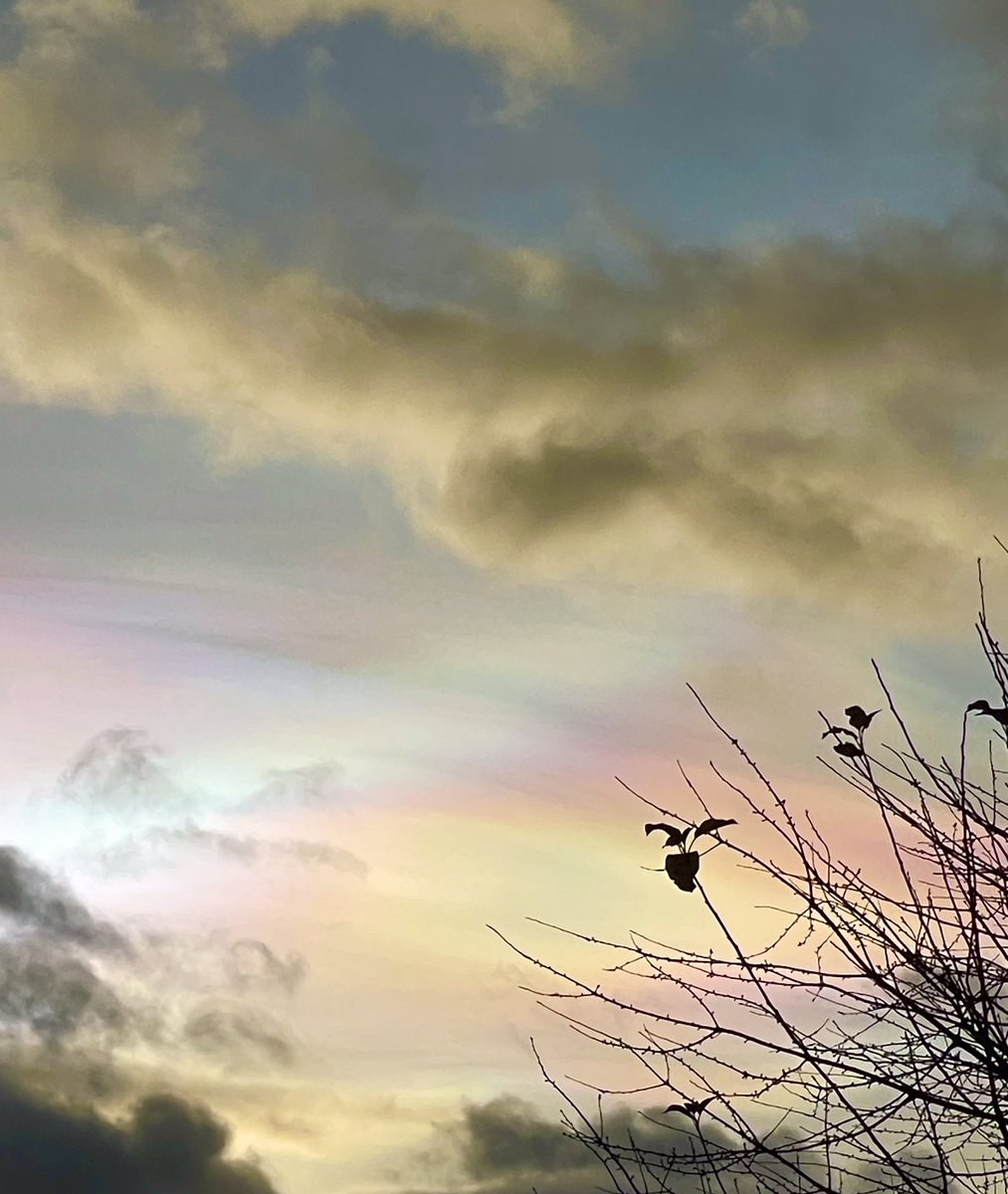 Absolutely stunning nacreous cloud pic taken a few minutes ago in East Anglia <a href="/CloudAppSoc/">Cloud Appreciation Society</a>  <a href="/EarthandClouds/">Earth and Clouds</a> <a href="/UKweatherpics/">UK Weather</a>