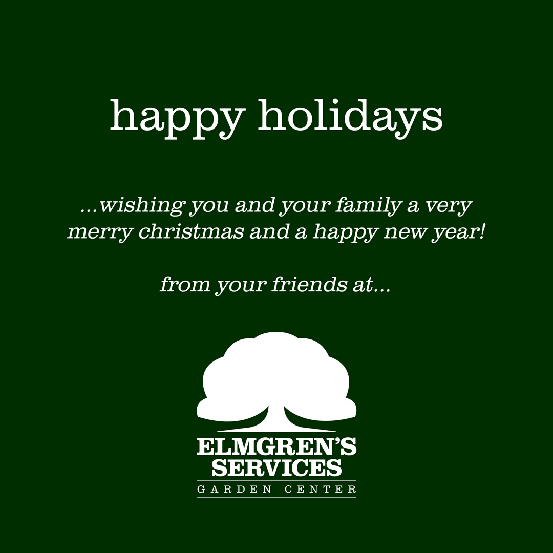 Happy Holidays from Elmgren's Garden Center. We wish you and your family a very Merry Christmas🎄and a Happy New Year 🥳! #elmgrens
