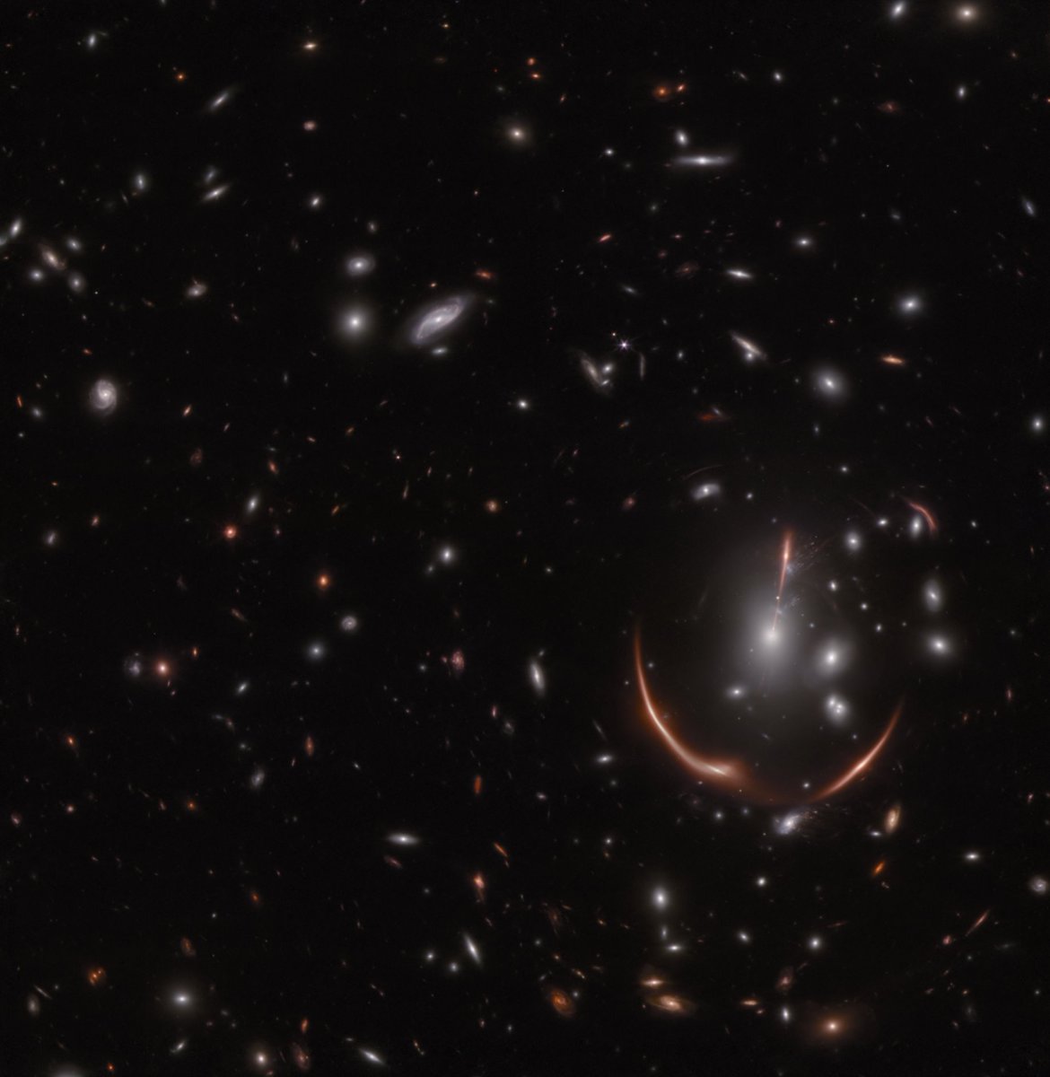 NASAWebb's tweet photo. Supernova 2: Galactic Boogaloo
 
In 2016, @NASAHubble saw a supernova named Requiem in a distant galaxy. Now Webb has found a second supernova named Encore — marking the first time two gravitationally lensed supernovae have been found in the same galaxy: https://t.co/L3dZjYbulW https://t.co/jFXKR3I2aN