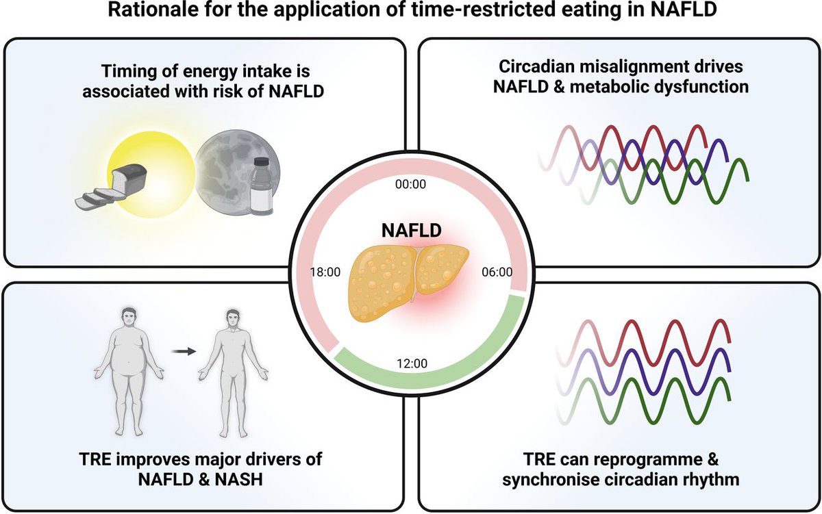 Gut Journal (@gut_bmj) on Twitter photo The eighth #TopGUTPaper2023 from #August2023 is by <a href="/tom_marjot/">Tom Marjot</a> et al on
“Timing of energy intake and the therapeutic potential of intermittent fasting and time-restricted ...” via bit.ly/41sejBP
Podcast: bit.ly/3GQTQgE
#RecentAdvancesInClinicalPractice The eighth #TopGUTPaper2023 from #August2023 is by <a href="/tom_marjot/">Tom Marjot</a> et al on
“Timing of energy intake and the therapeutic potential of intermittent fasting and time-restricted ...” via bit.ly/41sejBP
Podcast: bit.ly/3GQTQgE
#RecentAdvancesInClinicalPractice