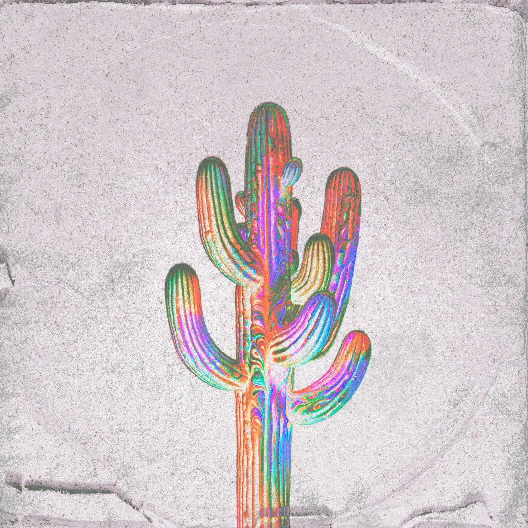 Psychedelic Cactus

Is available for you next music project: artgrab.co/art/karadoc/27…

#albumcover #albumcoverdesigner #artgrab @ArtgrabCo #Cactus #musicindustry #Spotify #spotifyforartists #digitalart