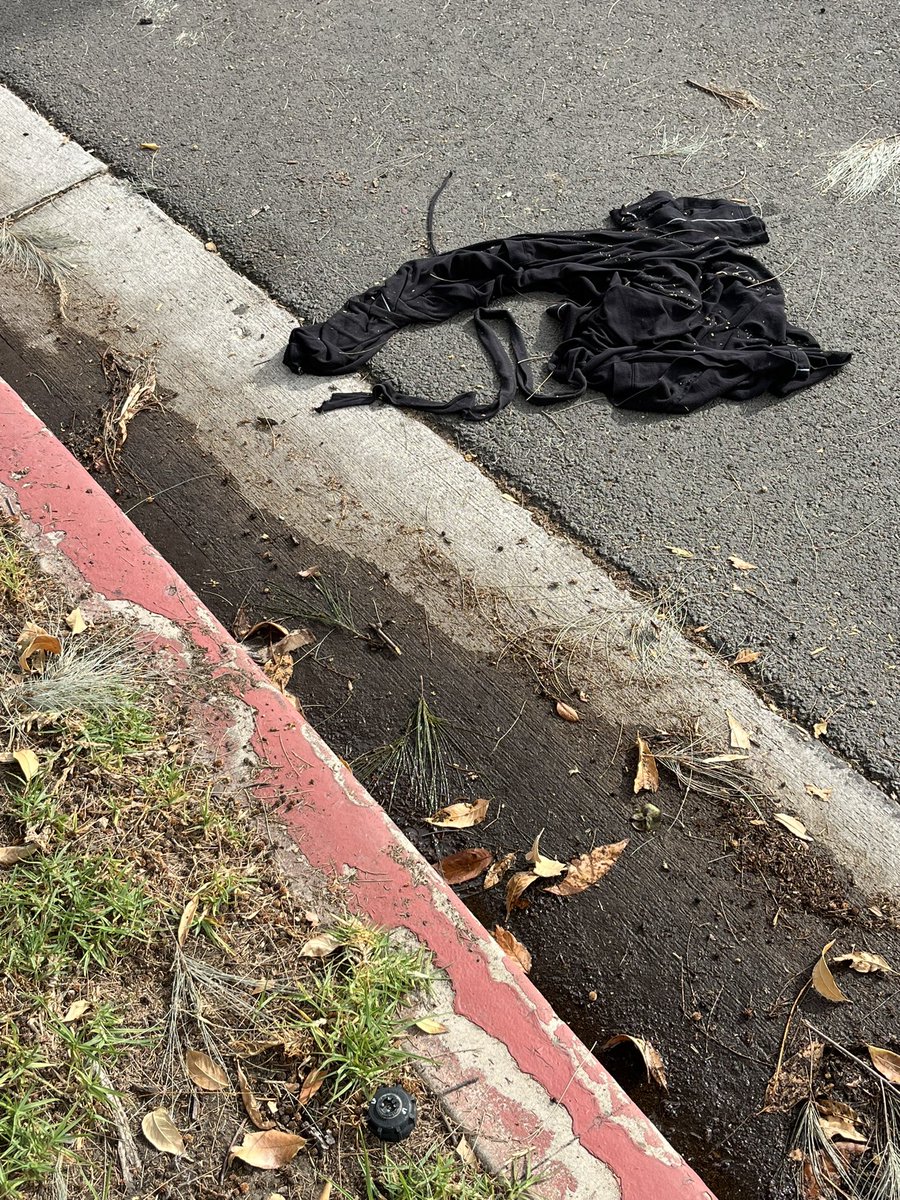 Doug Sluggo Roberts tweet media