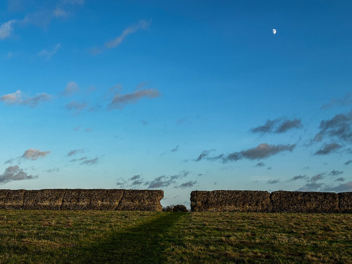 The walls of the Roman fort of Gariannonum, known today as Burgh Castle, built c. AD300 provide protection from the winds of Storm Pia #Norfolk #RomanArchaeology